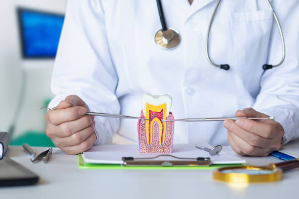 Best Emergency Tooth Extraction in Jeffersonville, OH